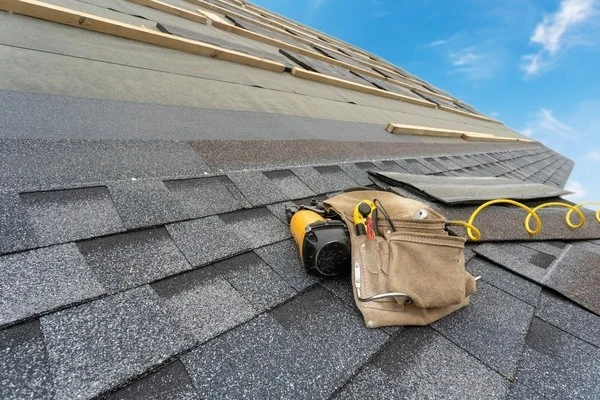 Professional roofer